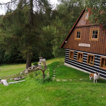 Apartman Dve Micky Pec pod Snezkou Εξωτερικό φωτογραφία